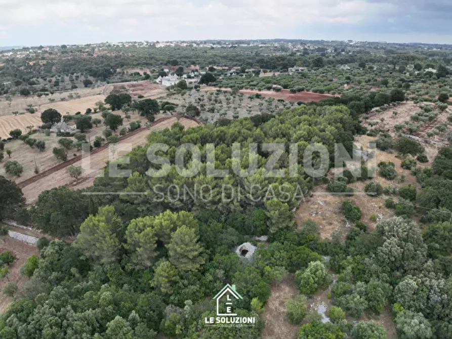 Immagine 7 di Terreno in vendita  in Contrada Pantanelli a Alberobello