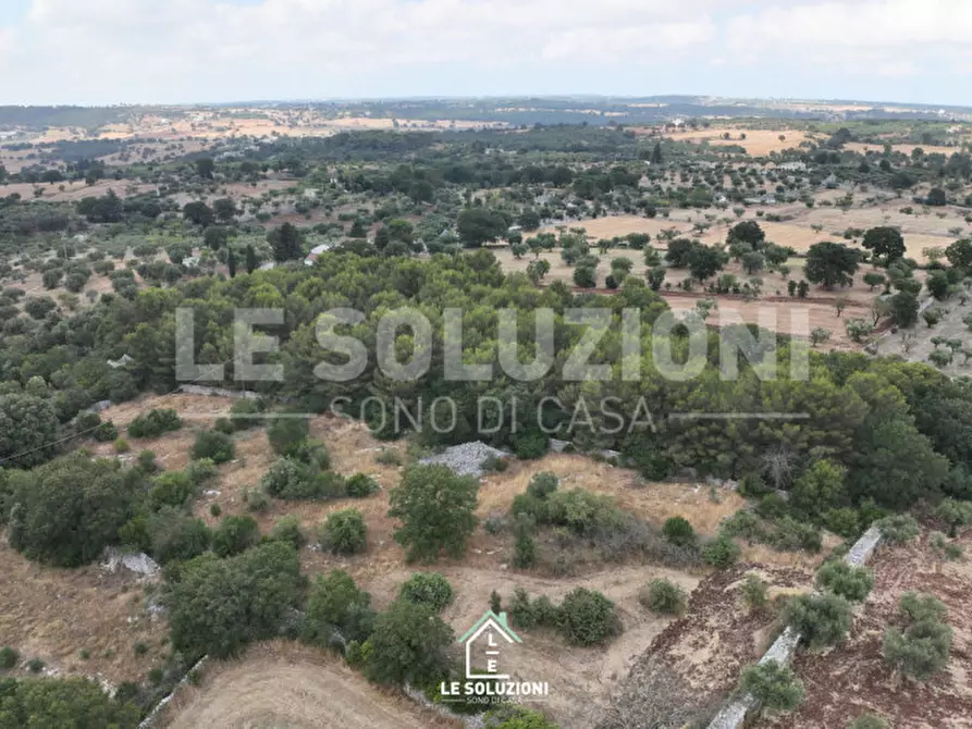 Immagine 9 di Terreno in vendita  in Contrada Pantanelli a Alberobello