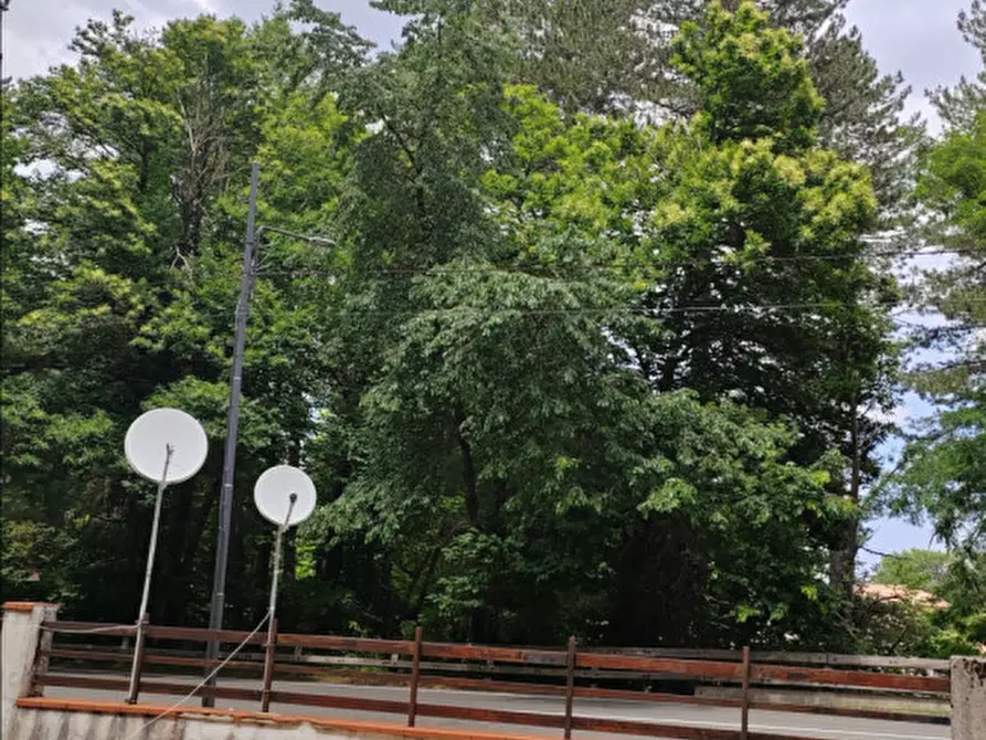 Immagine 16 di Appartamento in vendita  in Via Federici a Spezzano Della Sila