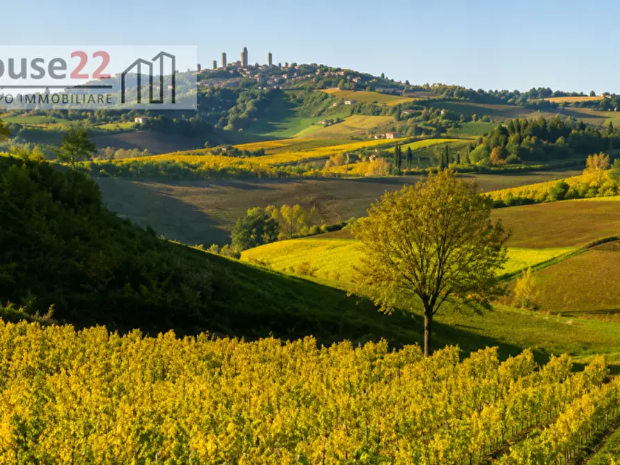 Immagine 14 di Palazzo in vendita  in via Berignano 20 a San Gimignano