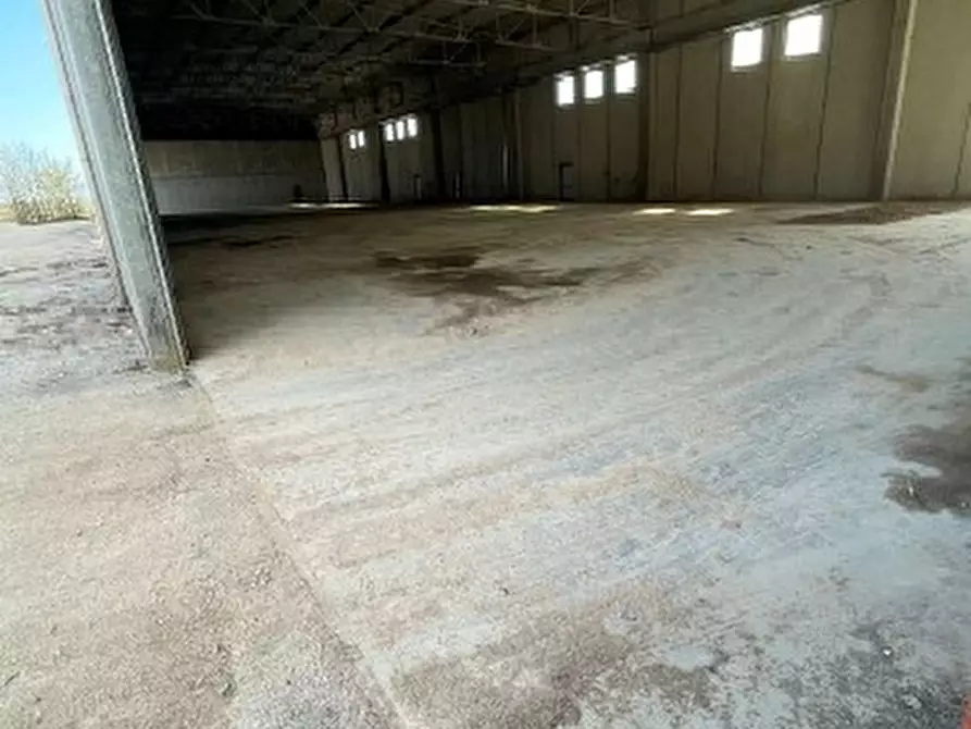 Immagine 3 di Capannone industriale in vendita  in Via Verdi a Farra Di Soligo