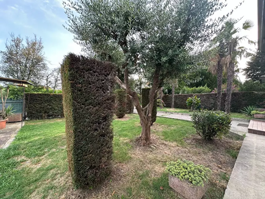 Immagine 13 di Casa bifamiliare in vendita  in Via Ca' Bianca a Cartura
