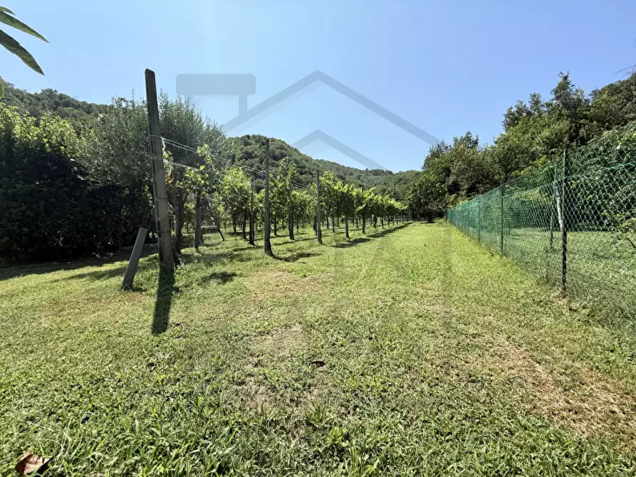Immagine 4 di Magazzino in vendita  in Via Catajo ,56 a Battaglia Terme