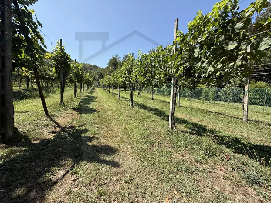 Immagine 5 di Magazzino in vendita  in Via Catajo ,56 a Battaglia Terme