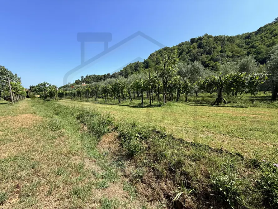 Immagine 6 di Magazzino in vendita  in Via Catajo ,56 a Battaglia Terme