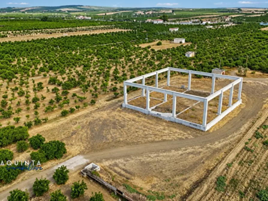 Immagine 1 di Terreno in vendita  in C.da Sciara di Guarna a Ramacca