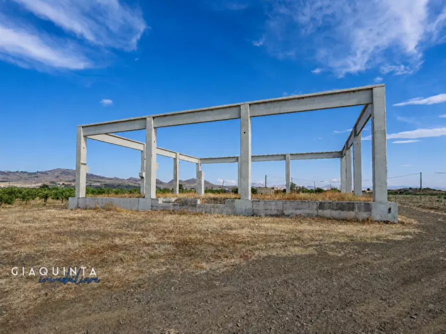 Immagine 3 di Terreno in vendita  in C.da Sciara di Guarna a Ramacca