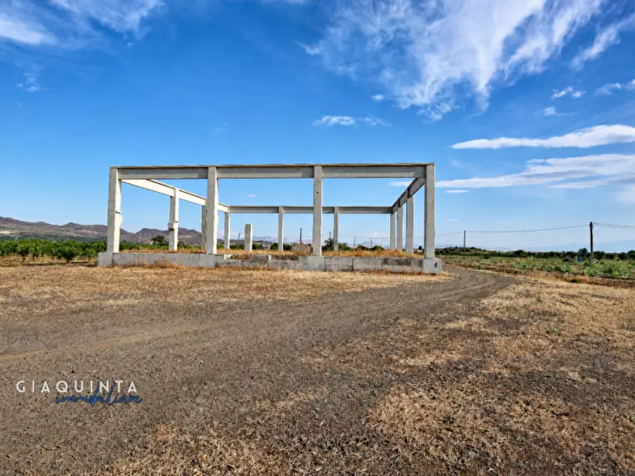 Immagine 9 di Terreno in vendita  in C.da Sciara di Guarna a Ramacca