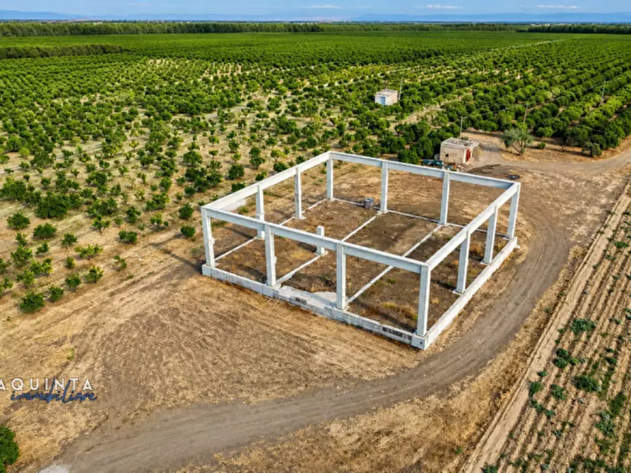 Immagine 13 di Terreno in vendita  in C.da Sciara di Guarna a Ramacca