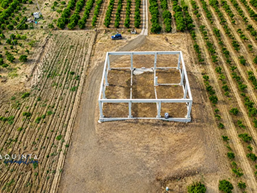 Immagine 14 di Terreno in vendita  in C.da Sciara di Guarna a Ramacca