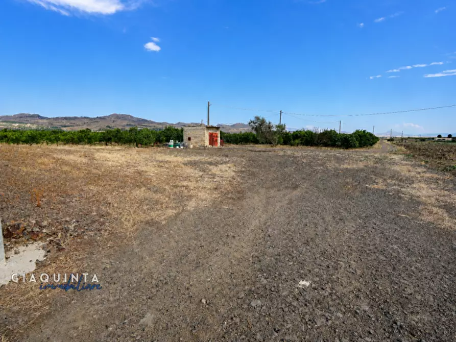 Immagine 18 di Terreno in vendita  in C.da Sciara di Guarna a Ramacca