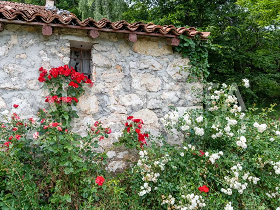 Immagine 5 di Rustico / casale in vendita  in Via Tesio a Paitone