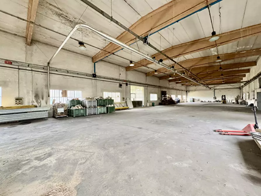 Immagine 3 di Capannone industriale in affitto  a Cerea