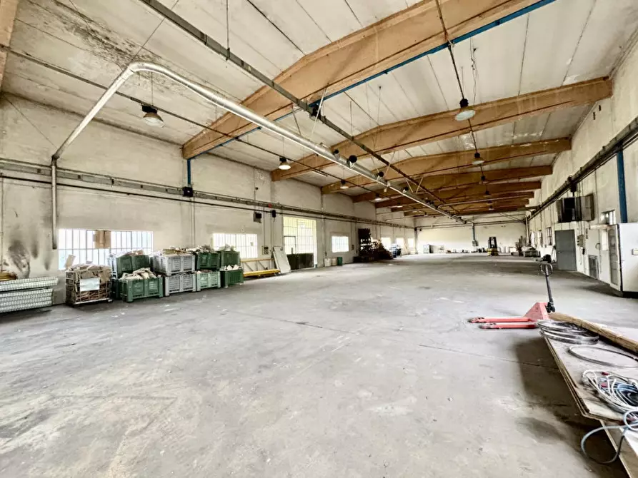Immagine 4 di Capannone industriale in affitto  a Cerea