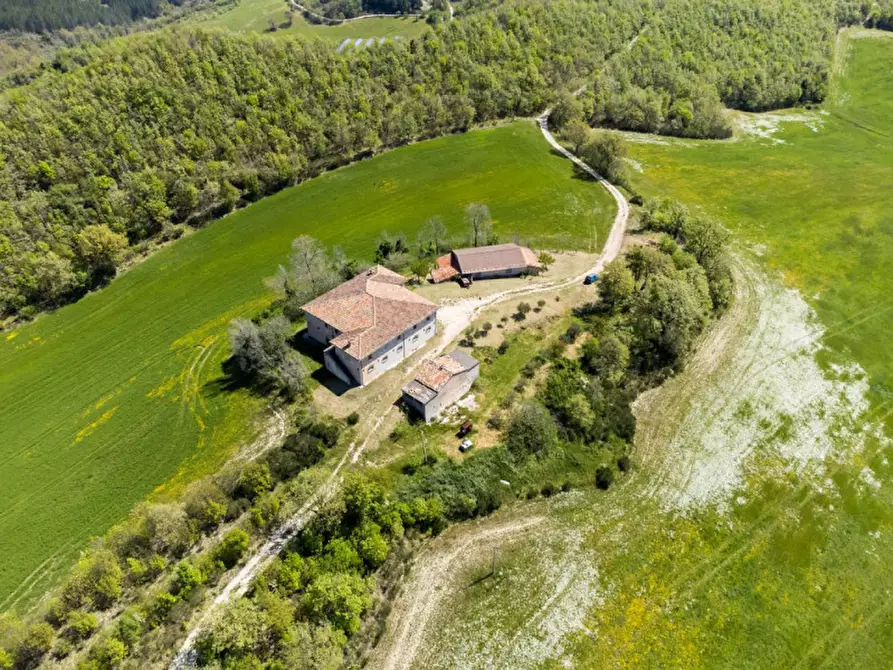 Immagine 1 di Rustico / casale in vendita  in Strada Fontetta a Cagli