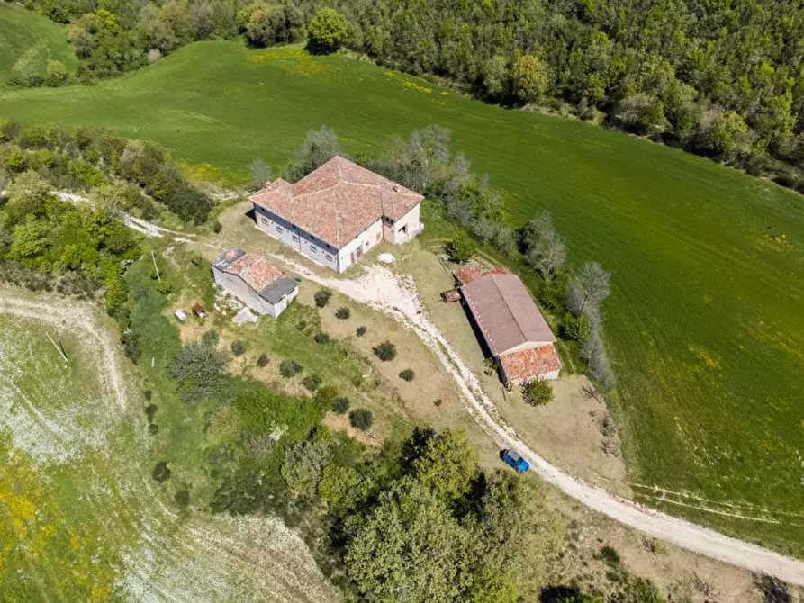 Immagine 3 di Rustico / casale in vendita  in Strada Fontetta a Cagli