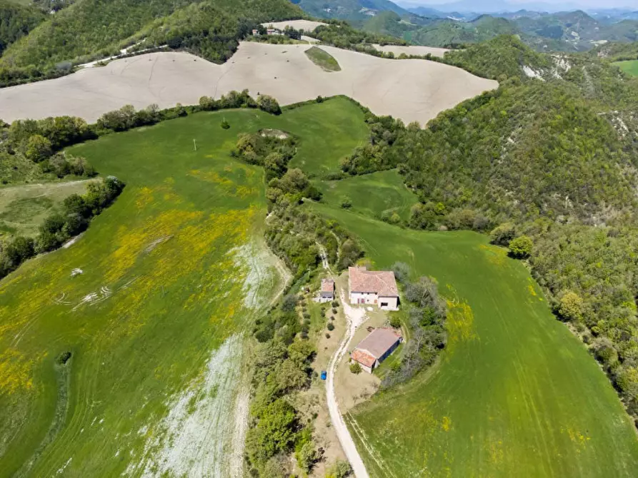 Immagine 4 di Rustico / casale in vendita  in Strada Fontetta a Cagli