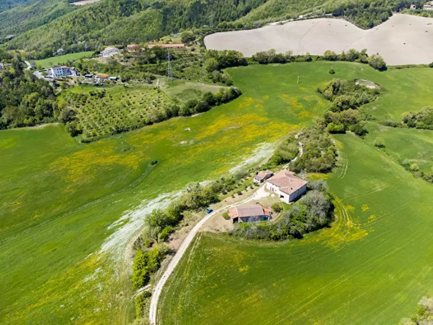 Immagine 5 di Rustico / casale in vendita  in Strada Fontetta a Cagli