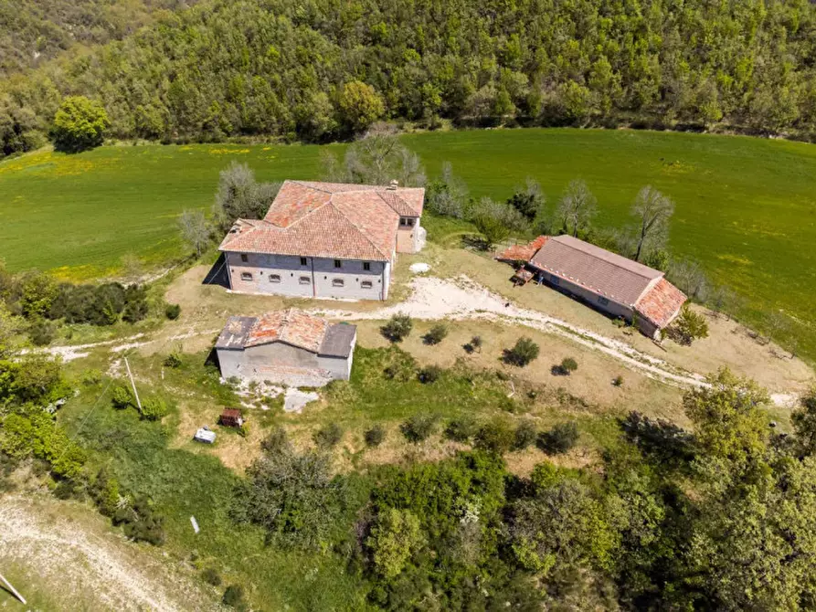 Immagine 14 di Rustico / casale in vendita  in Strada Fontetta a Cagli