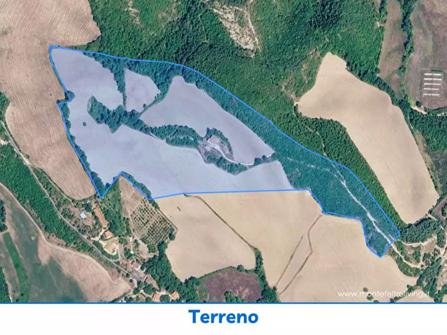 Immagine 17 di Rustico / casale in vendita  in Strada Fontetta a Cagli