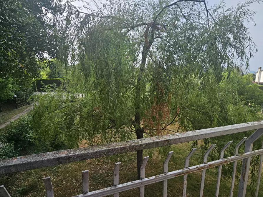 Immagine 9 di Casa indipendente in vendita  in Via Palugana Nord a Ospedaletto Euganeo