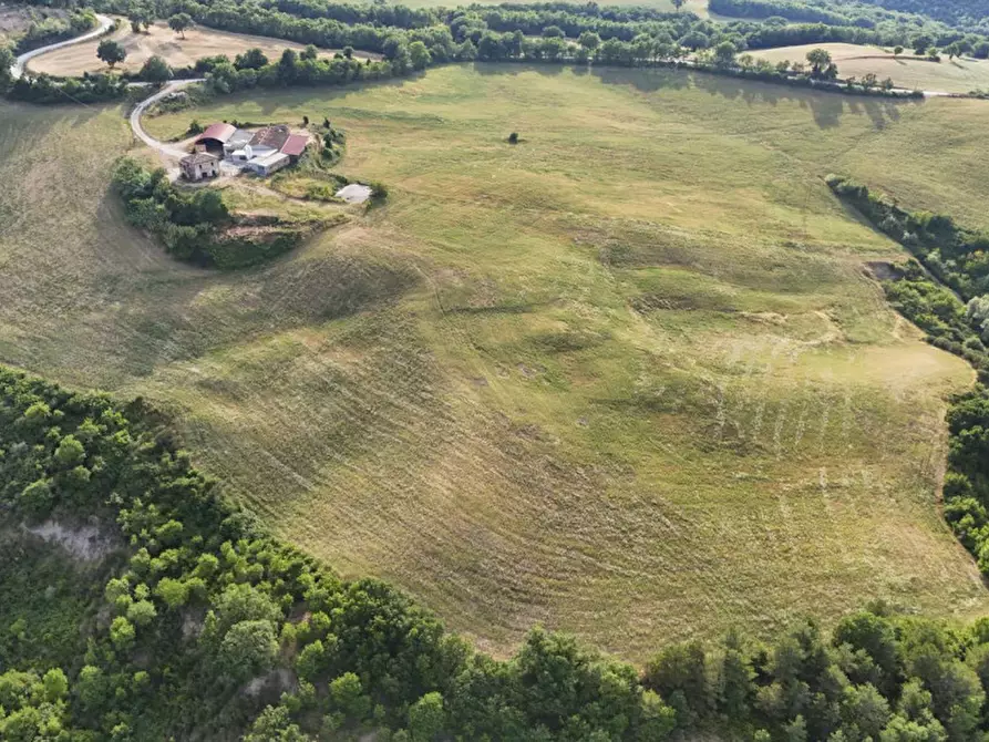 Immagine 3 di Terreno in vendita  in Pietracavola a Lunano