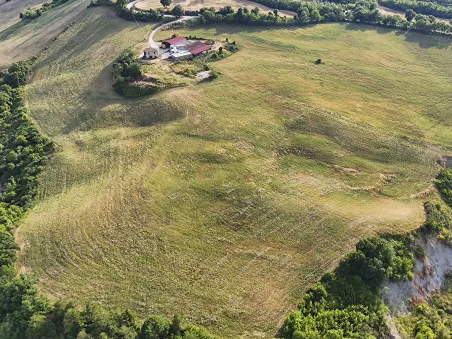 Immagine 4 di Terreno in vendita  in Pietracavola a Lunano