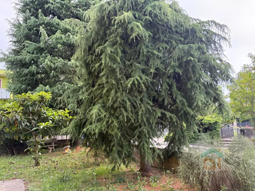 Immagine 49 di Villetta a schiera in vendita  in Via Sarcinelli civ. 67 a Cervignano Del Friuli