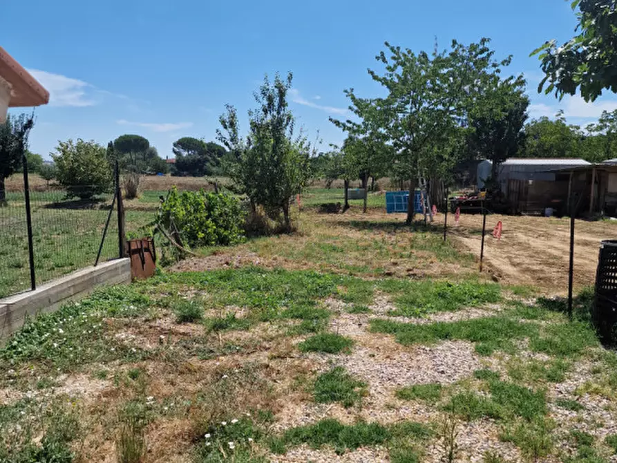 Immagine 3 di Appartamento in vendita  a Torrita Di Siena