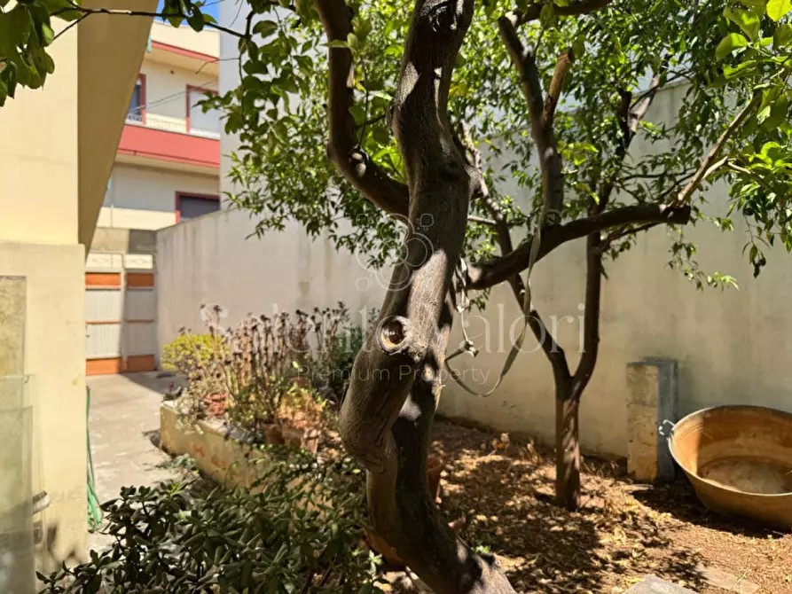 Immagine 33 di Casa indipendente in vendita  in Via dei Mille 177 a Parabita