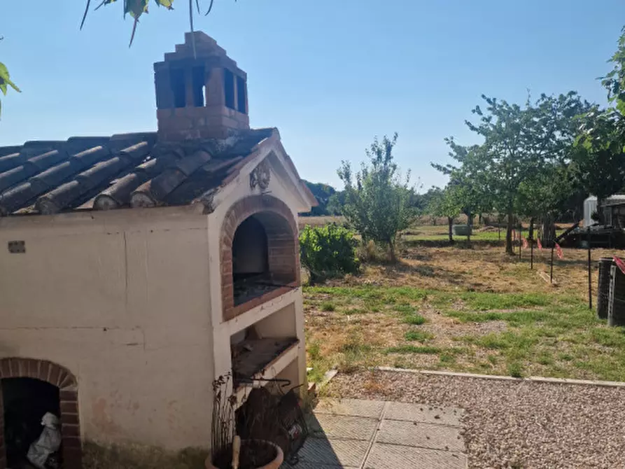 Immagine 3 di Appartamento in vendita  a Torrita Di Siena
