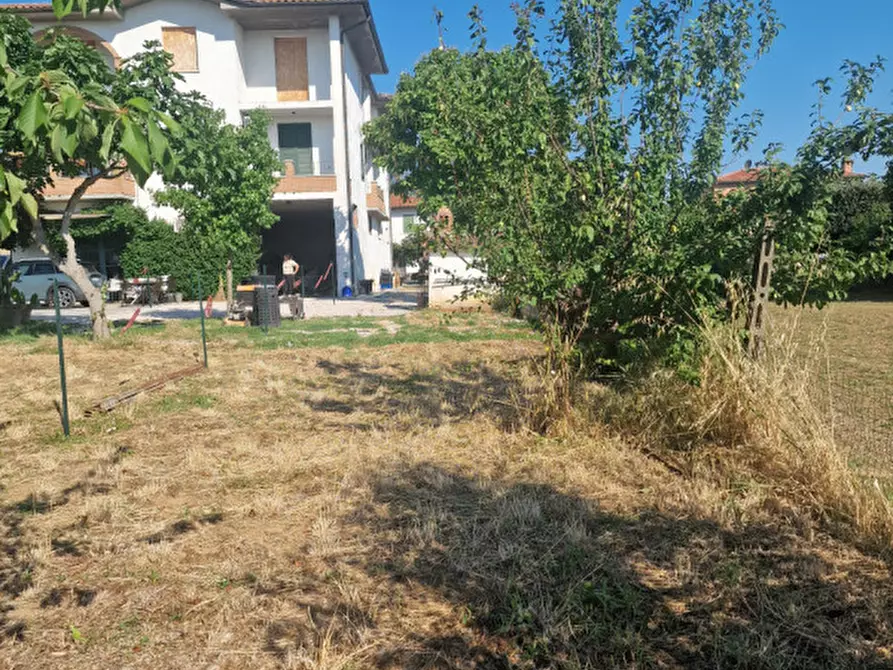 Immagine 5 di Appartamento in vendita  a Torrita Di Siena