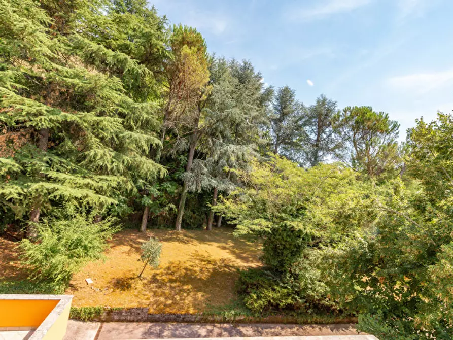 Immagine 28 di Villa in vendita  in Via Colleolivo a Arce