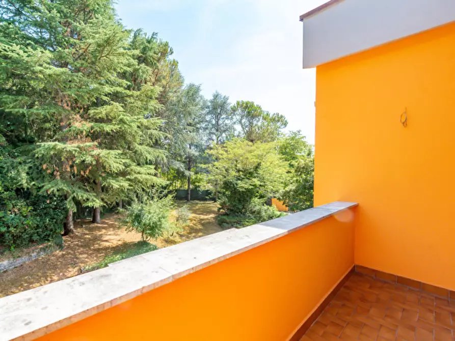 Immagine 29 di Villa in vendita  in Via Colleolivo a Arce