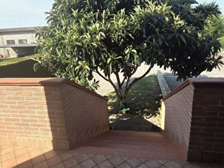 Immagine 21 di Casa bifamiliare in vendita  a Villanova Marchesana