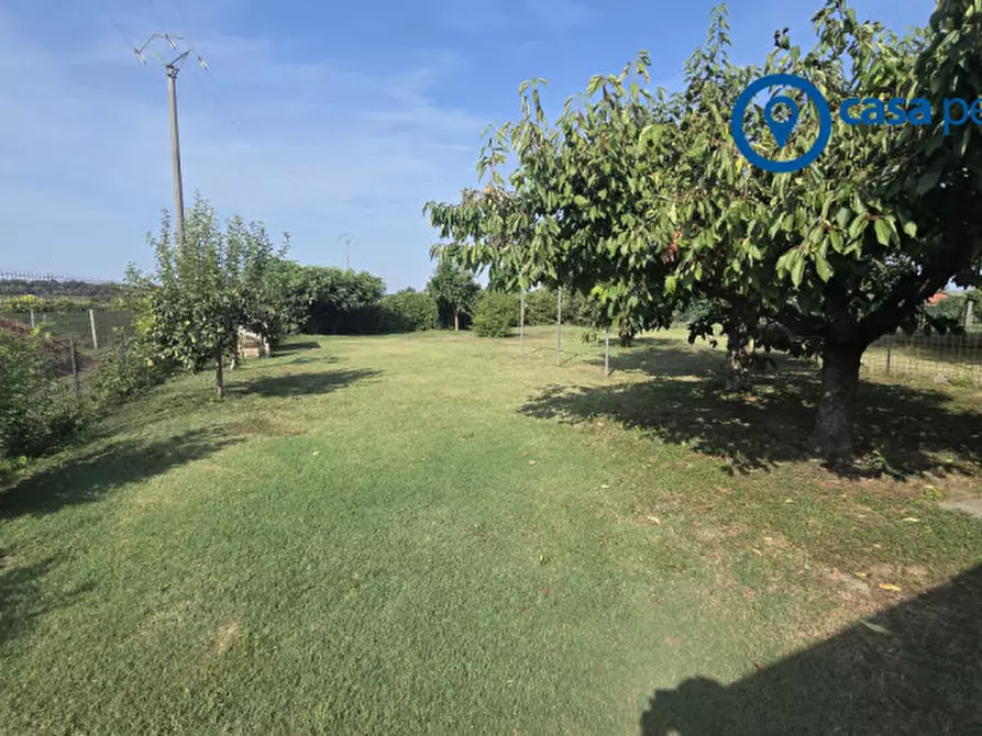 Immagine 48 di Casa bifamiliare in vendita  a Villanova Marchesana