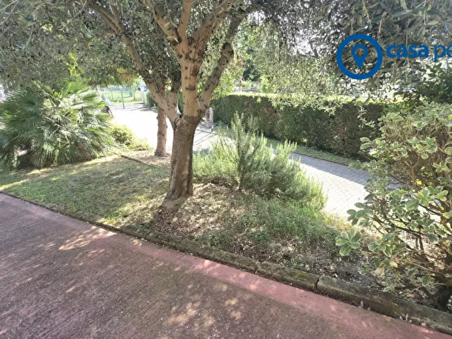 Immagine 52 di Casa bifamiliare in vendita  a Villanova Marchesana