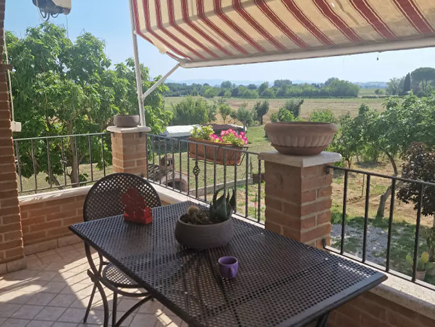 Immagine 17 di Appartamento in vendita  a Torrita Di Siena