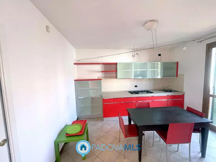 Immagine 7 di Appartamento in vendita  in Via Cellini a Noventa Padovana
