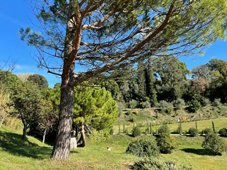 Immagine 14 di Villa in vendita  a Sinalunga