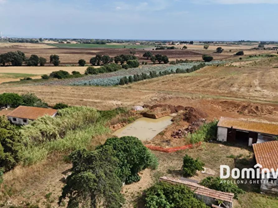 Immagine 3 di Rustico / casale in vendita  in Centro G a Capalbio
