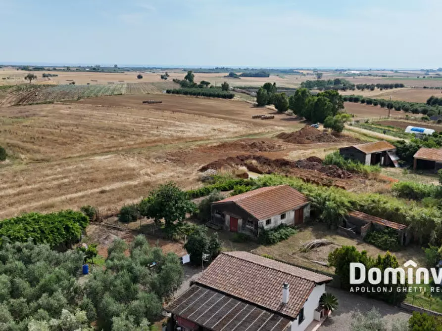 Immagine 5 di Rustico / casale in vendita  in Centro G a Capalbio