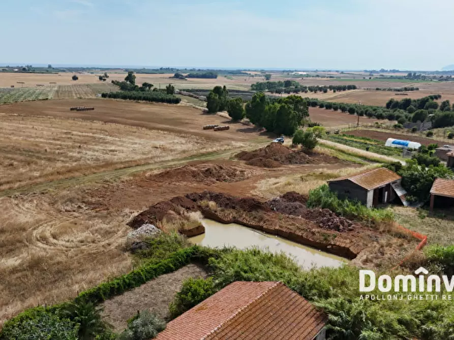 Immagine 6 di Rustico / casale in vendita  in Centro G a Capalbio