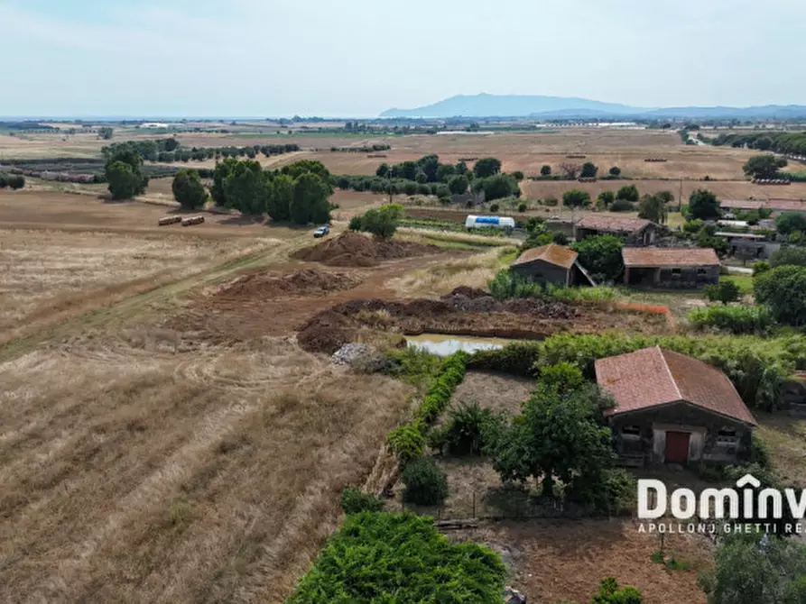 Immagine 7 di Rustico / casale in vendita  in Centro G a Capalbio