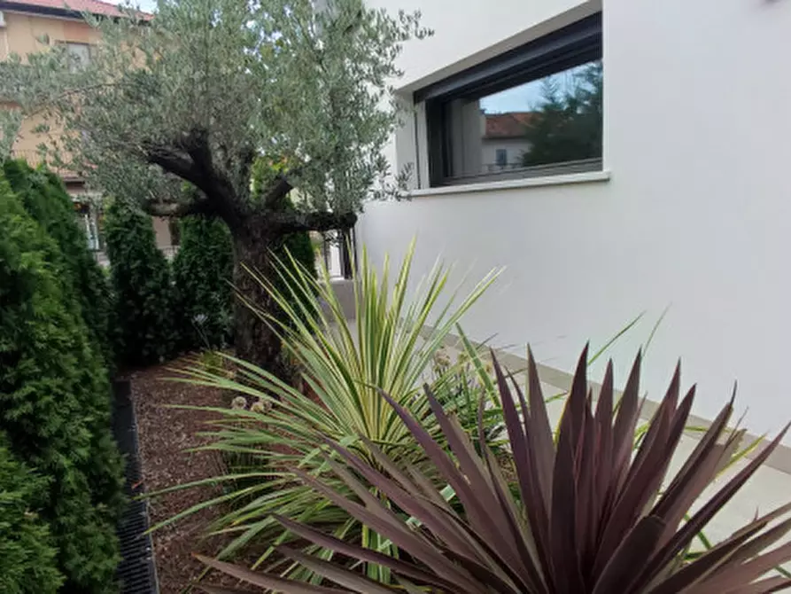Immagine 36 di Casa trifamiliare in vendita  in via ronzinella 21 a Mogliano Veneto