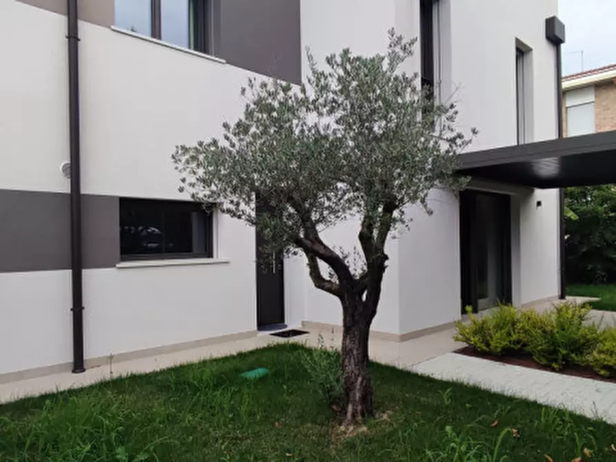 Immagine 39 di Casa trifamiliare in vendita  in via ronzinella 21 a Mogliano Veneto