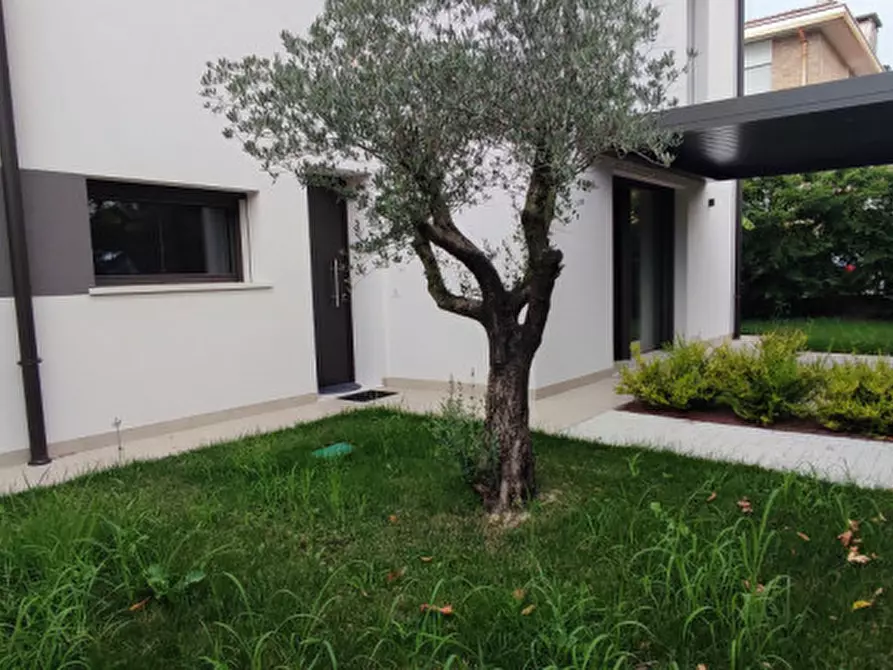 Immagine 40 di Casa trifamiliare in vendita  in via ronzinella 21 a Mogliano Veneto