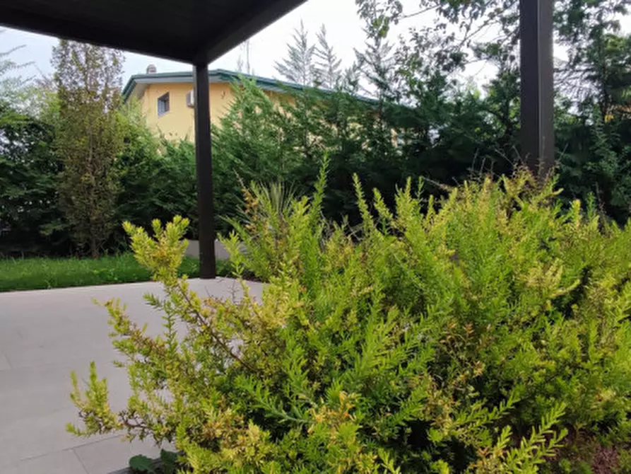 Immagine 41 di Casa trifamiliare in vendita  in via ronzinella 21 a Mogliano Veneto