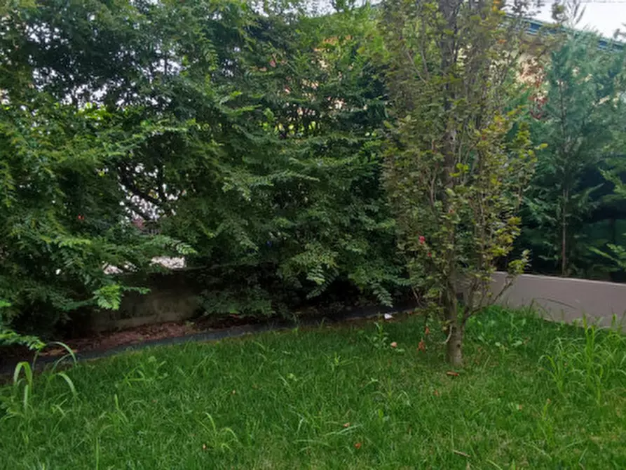 Immagine 43 di Casa trifamiliare in vendita  in via ronzinella 21 a Mogliano Veneto