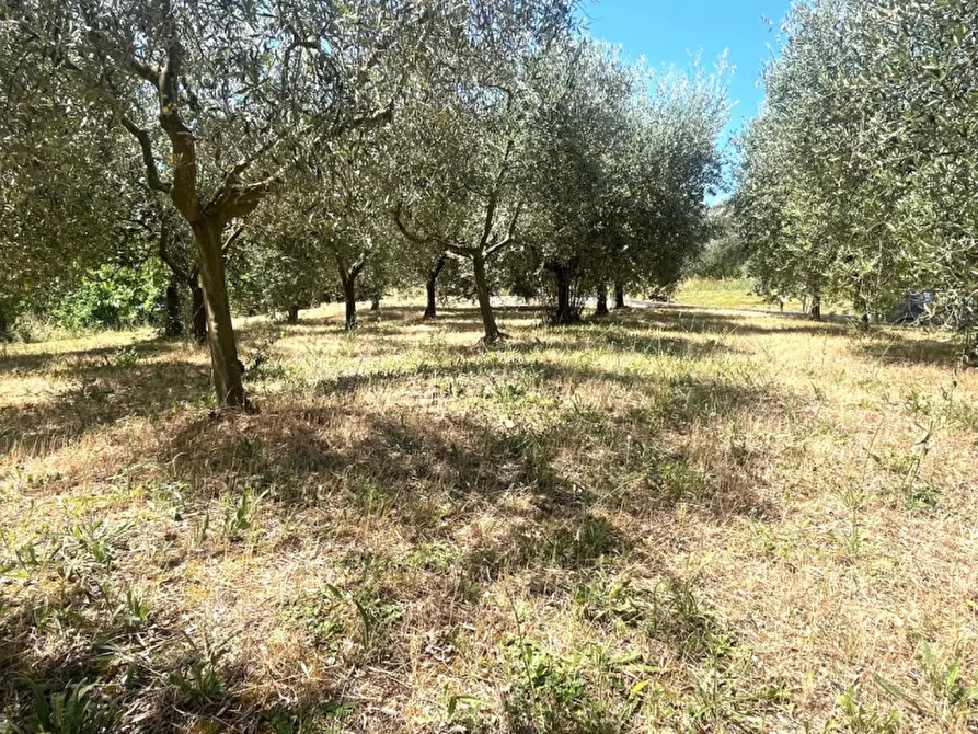 Immagine 30 di Appartamento in vendita  in Strada Pieve Pagliaccia a Perugia